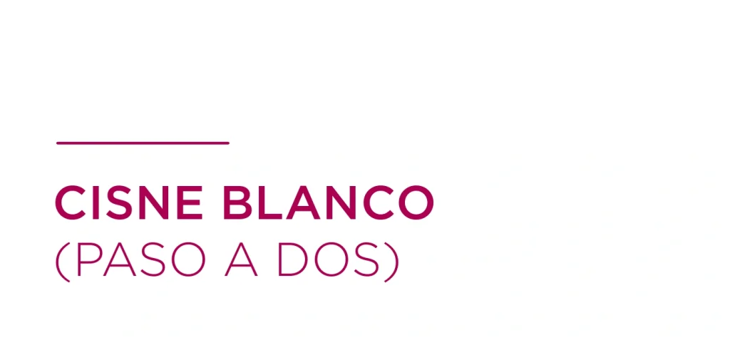 Cisne blanco (paso a dos)