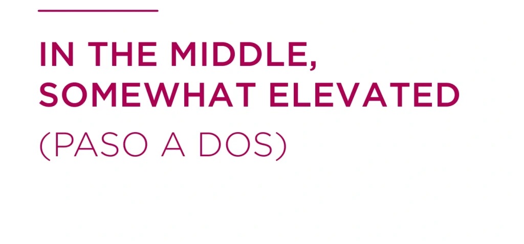IN THE MIDDLE, SOMEWHAT ELEVATED (PASO A DOS)